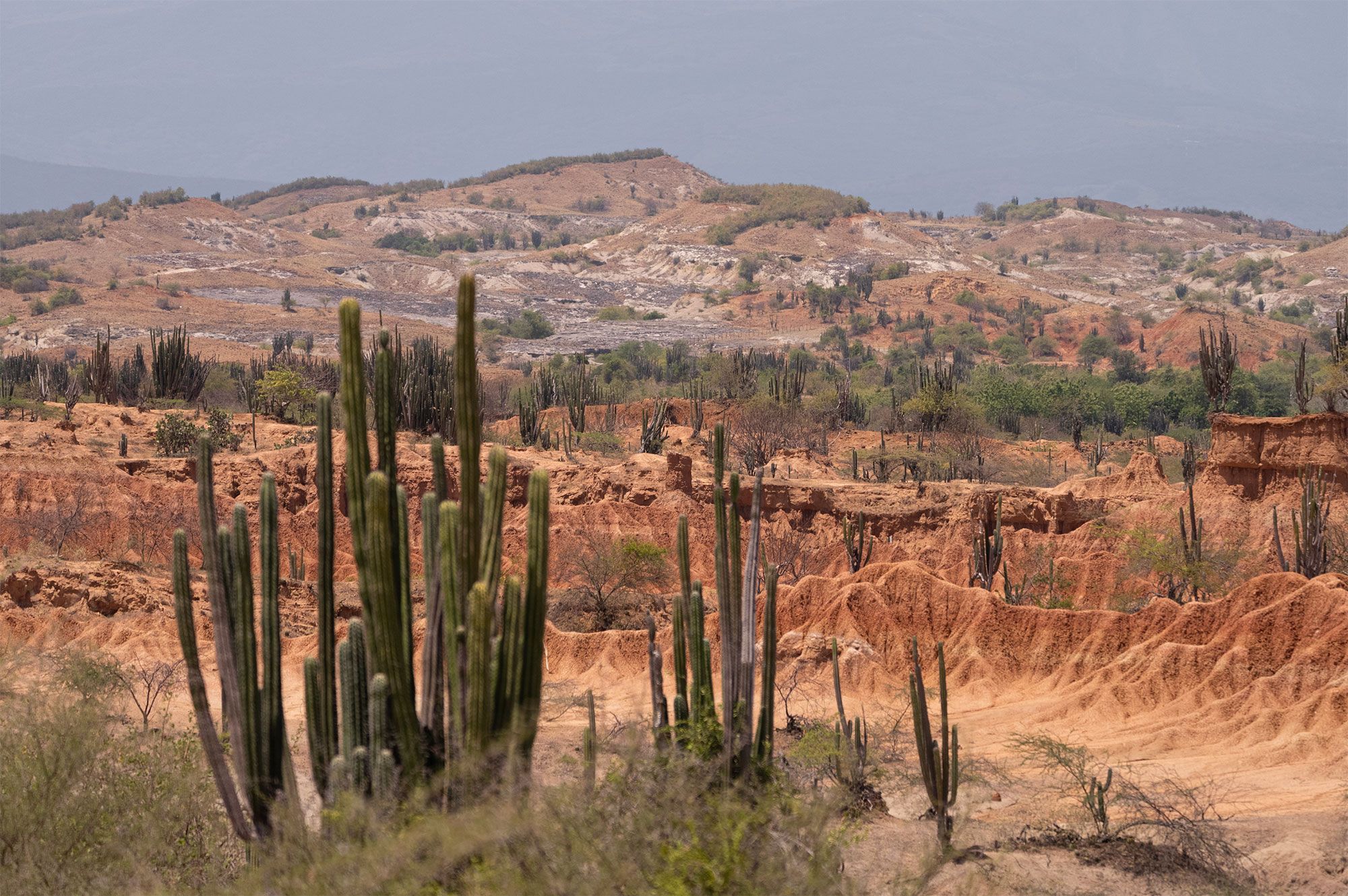 Tatacoa-Colombia.jpg