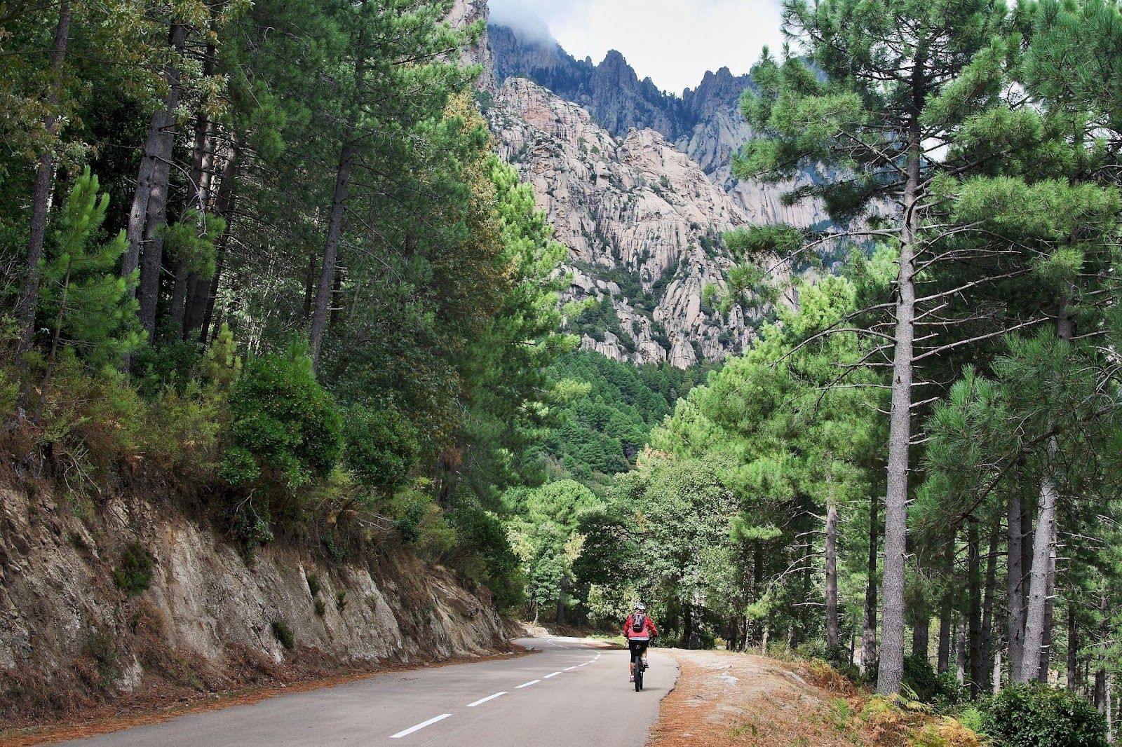 Col da Bavelle.jpg