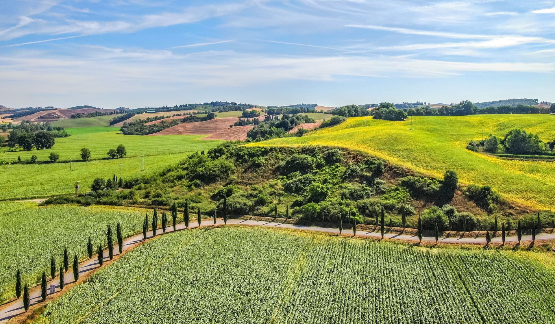 photoholgic-Strade-Bianche-ROUVY.jpg