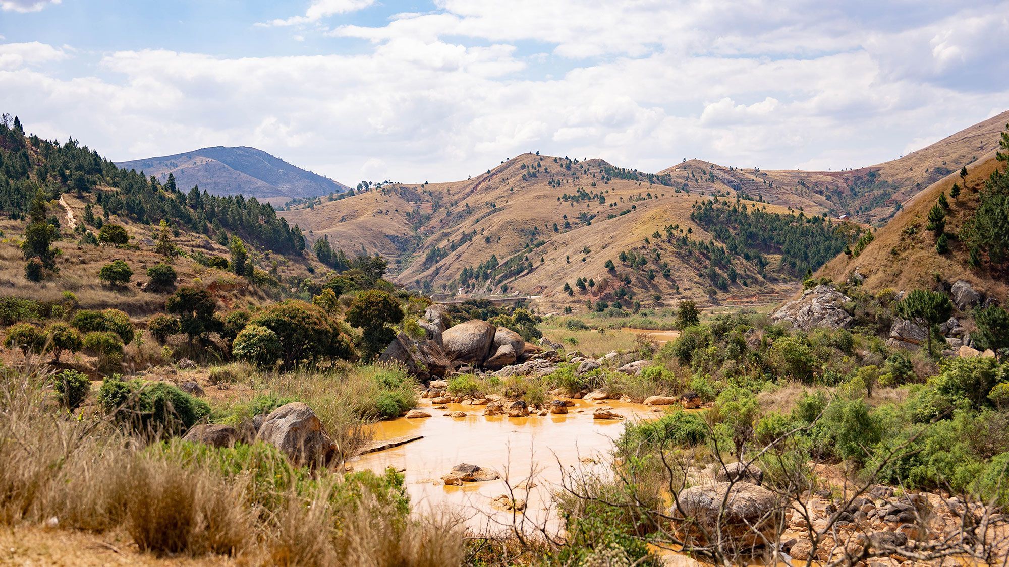 Pedaling Through Madagascar: A Cycling Adventure on One of Earth's Most Unique Islands