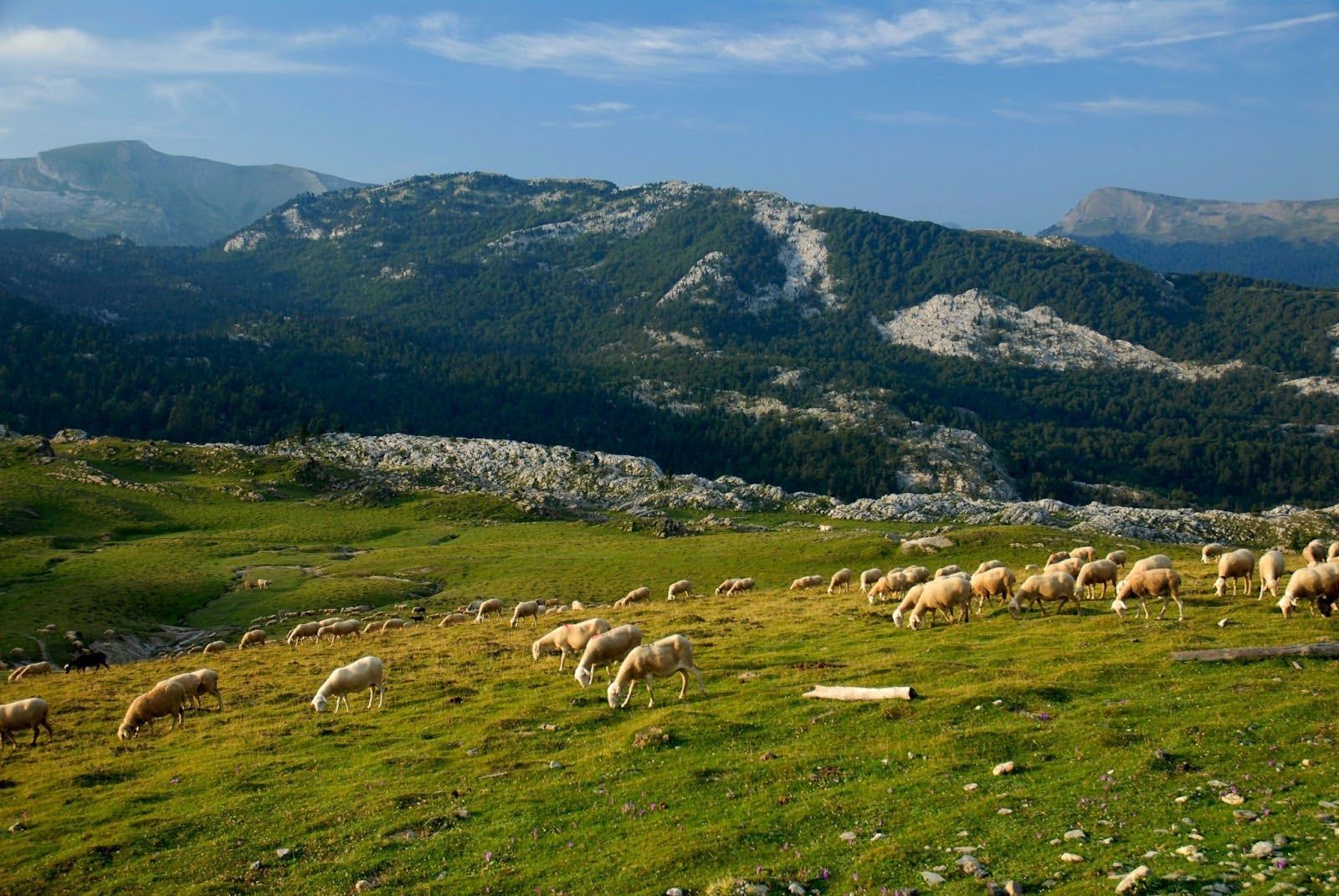 Larra Belagua landscapes.jpg