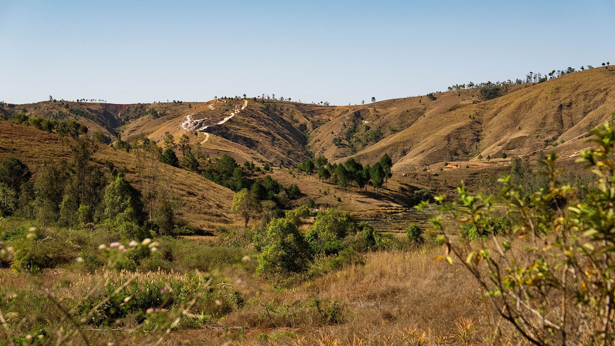 Highlands-of-Madagascar.jpg