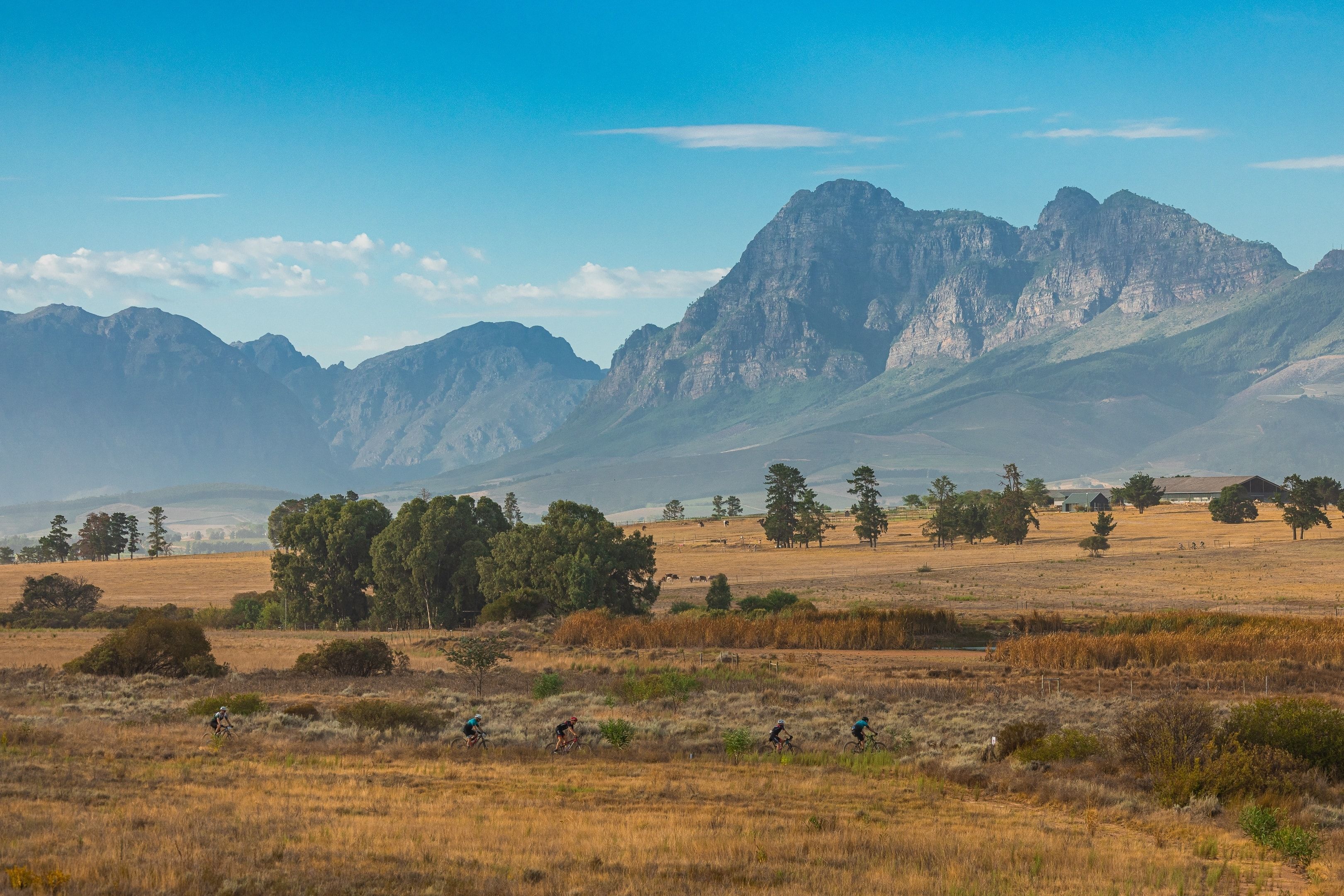 cape epic.jpeg