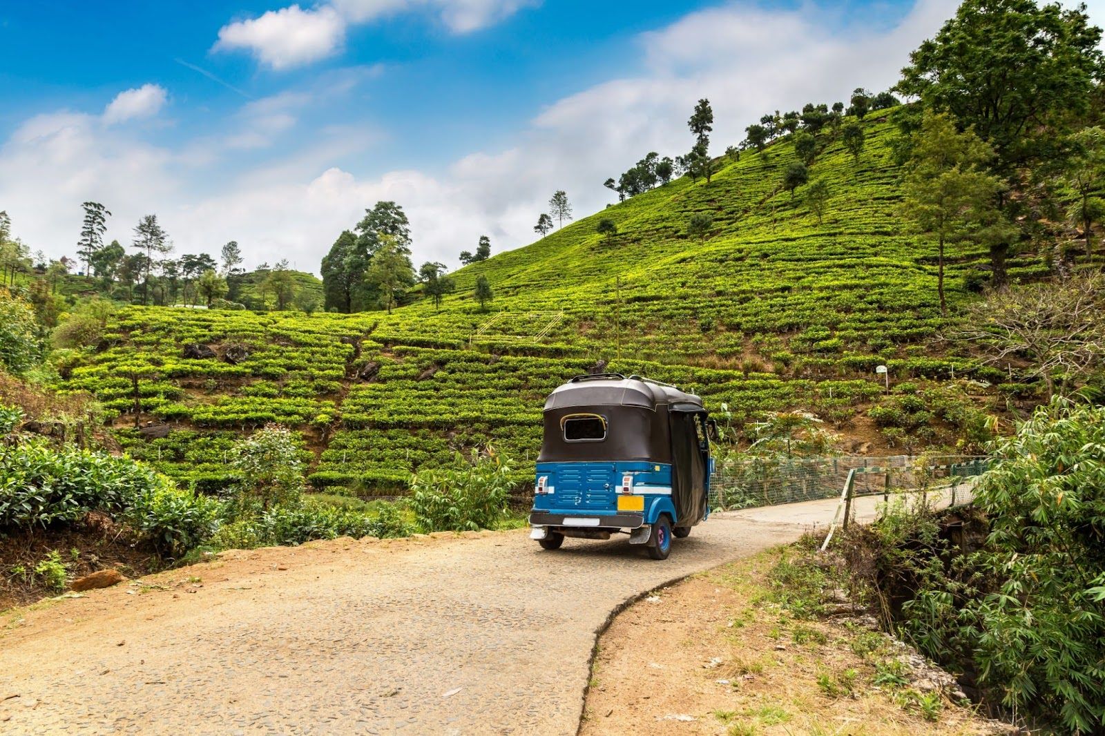tuktuk.jpg