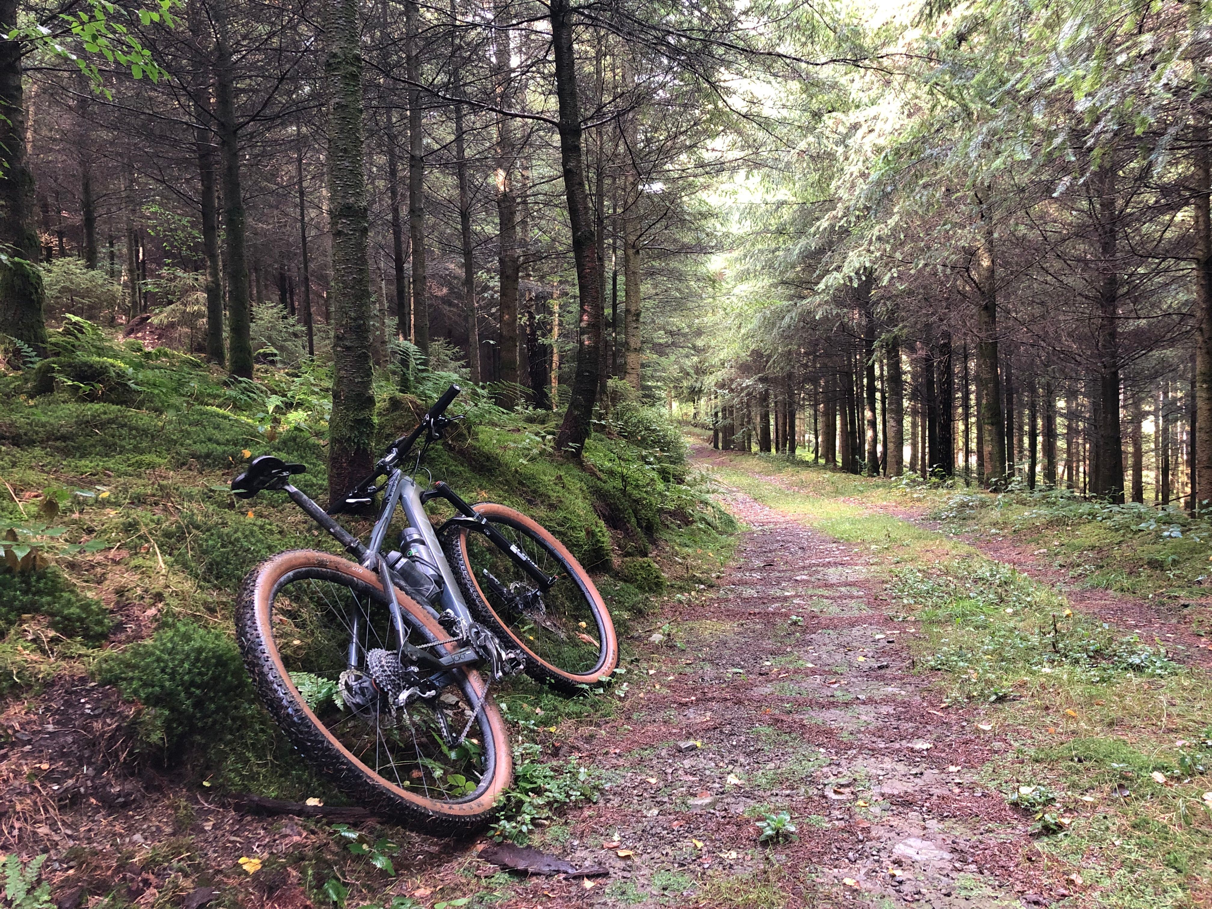 Top cycling routes in Belgium you shouldn't miss