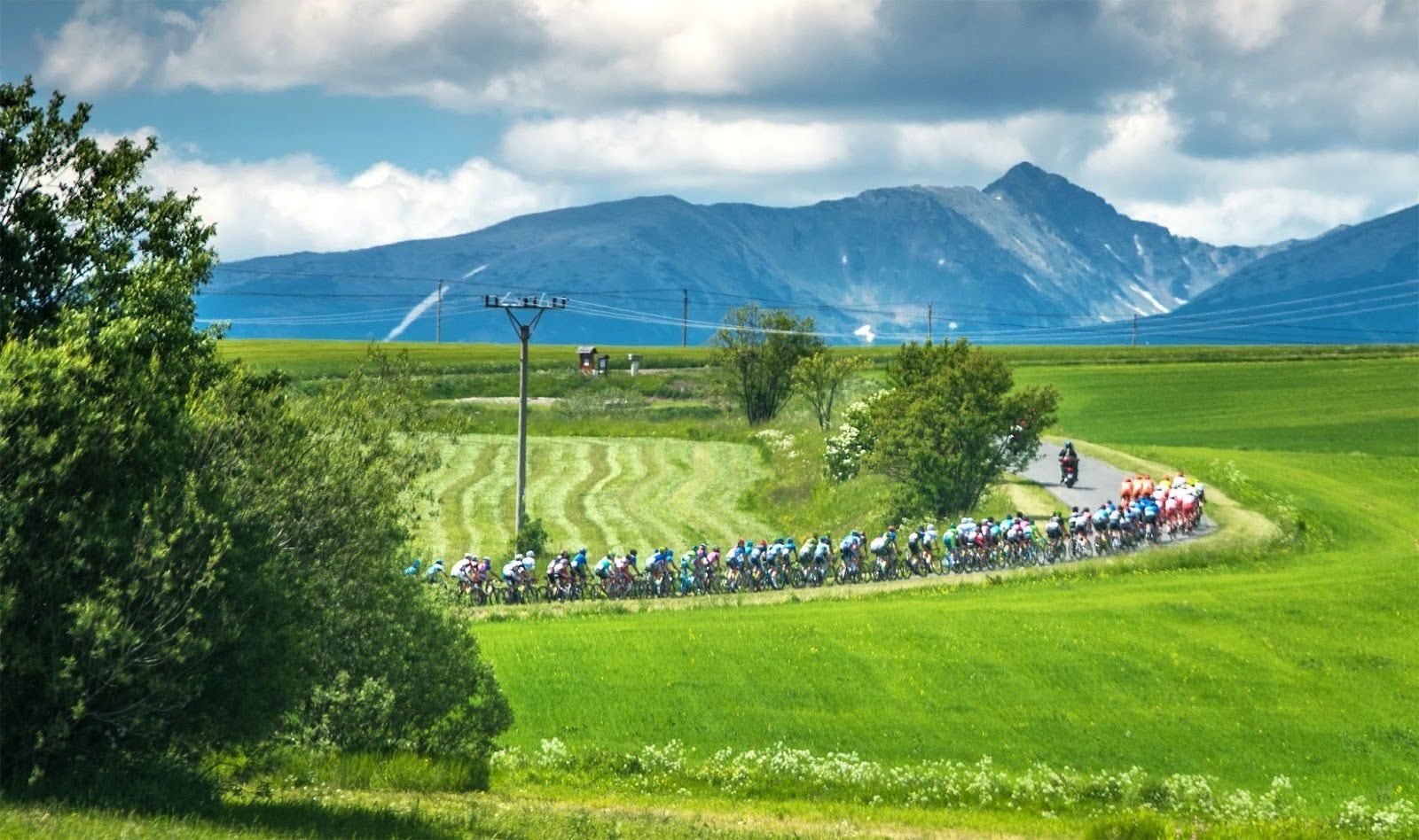 tdf1.jpg