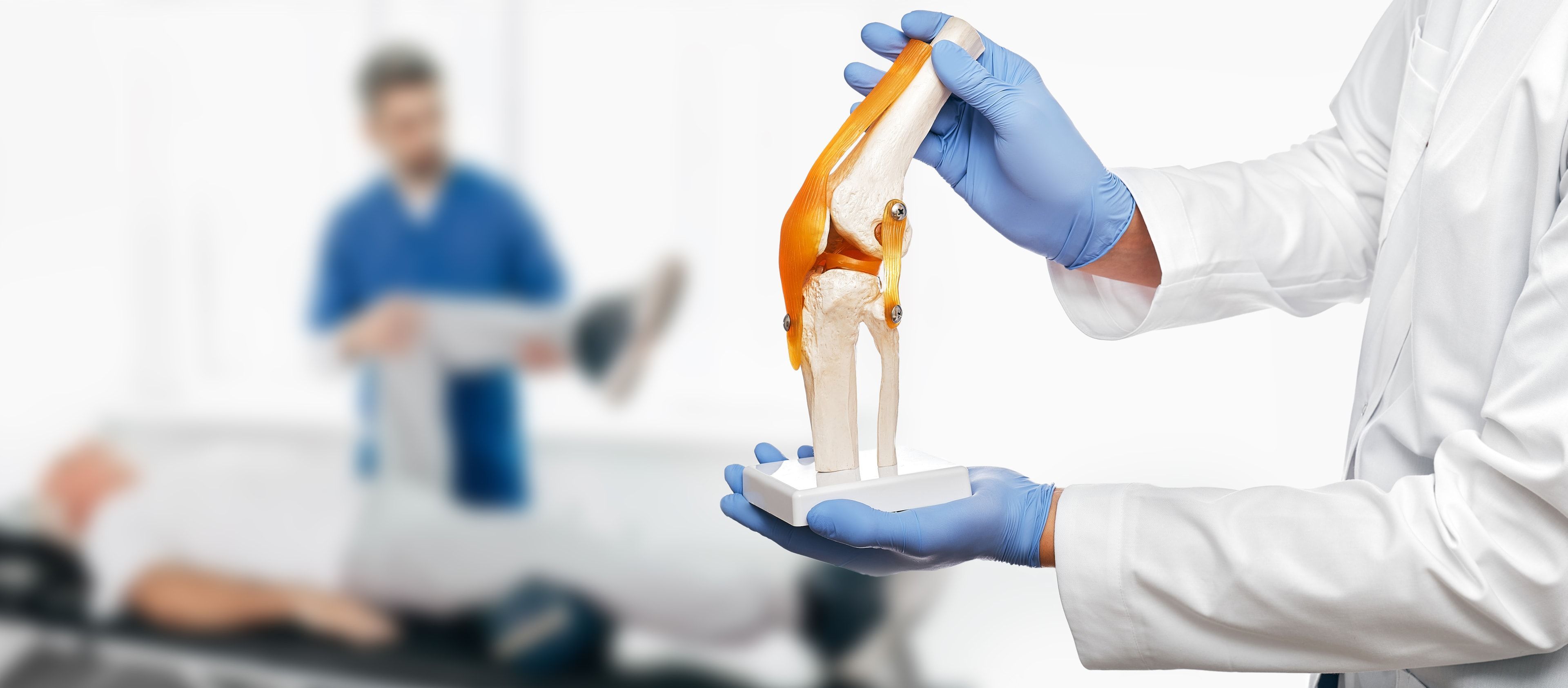 kneecap.jpeg