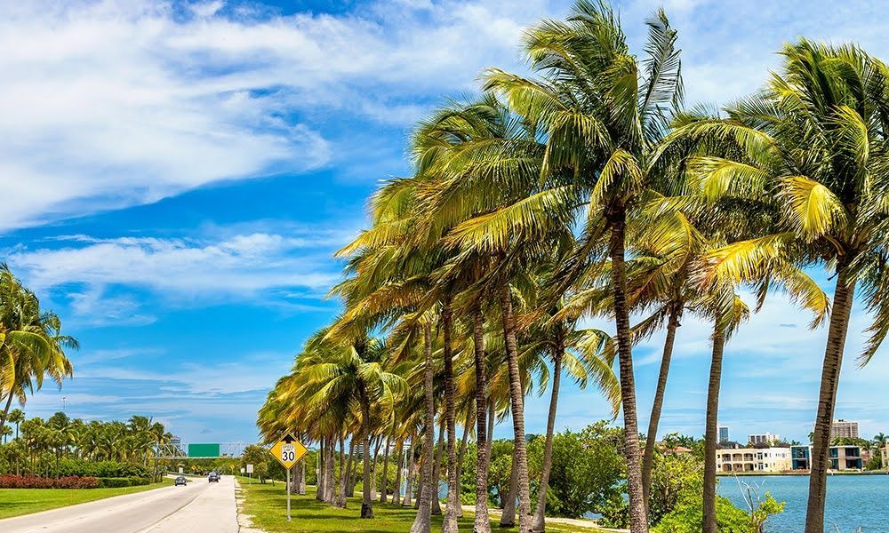 palm beach.jpg