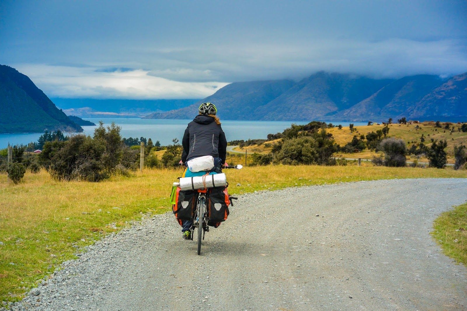 landscapes of NZ.jpg