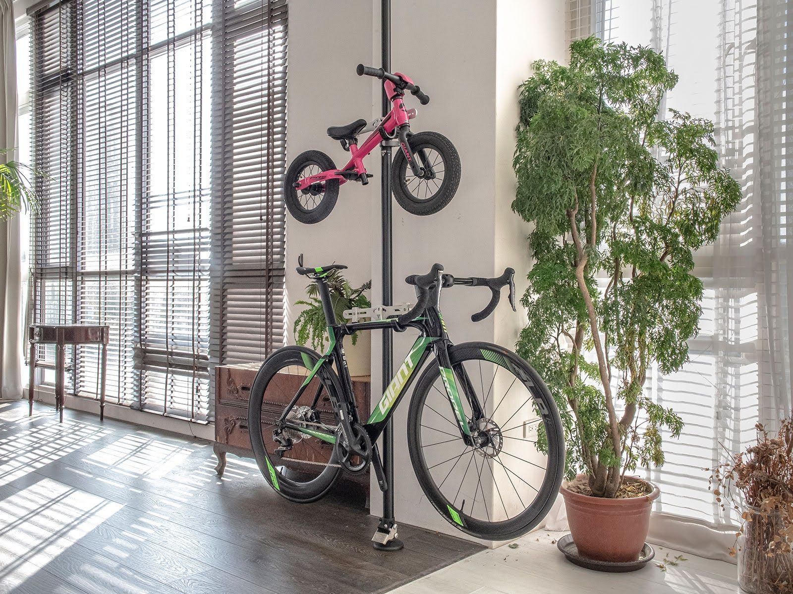children's bike and adult.jpg